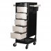 Hairdressing Trolley GABBIANO FT65 Black/White